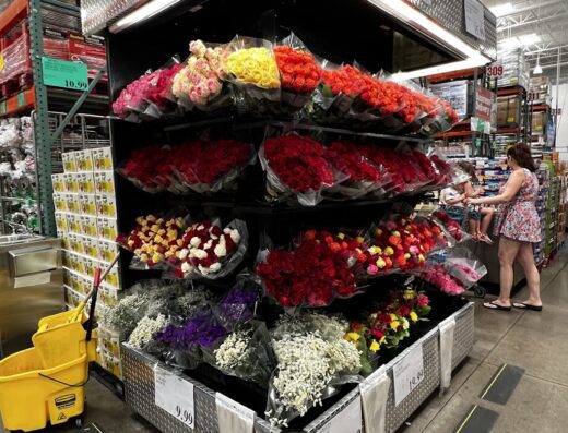 Costco Wholesale