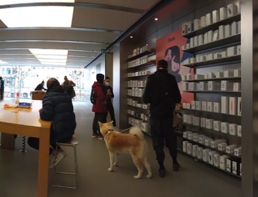 Apple Große Bockenheimer Straße