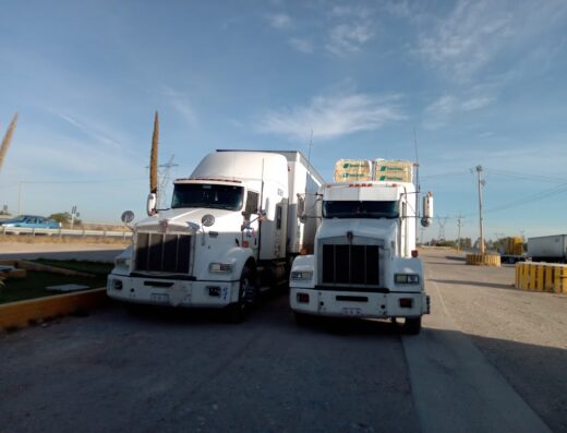 Servicio las Palmas