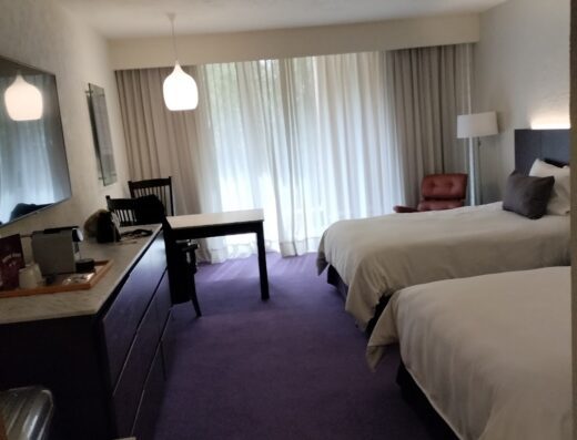 Aeromexico Camino Real