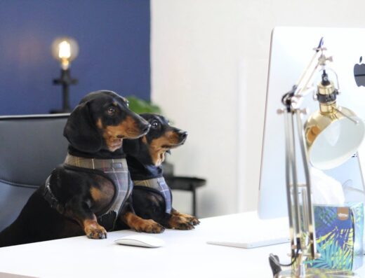 Target | eCommerce Marketing Agency, London