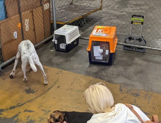 Qantas Freight Domestic Terminal Perth