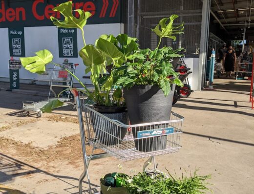 Bunnings Port Melbourne