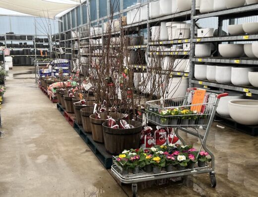 Bunnings Blacktown