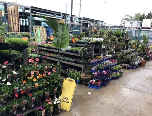 Bunnings Osborne Park