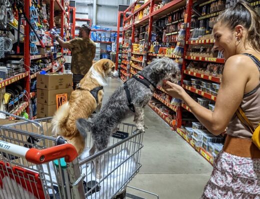 Bunnings Darwin