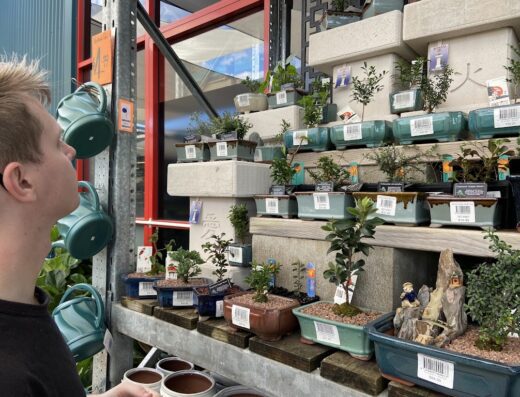 Bunnings Townsville