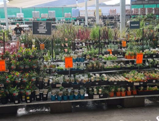 Bunnings Kembla Grange