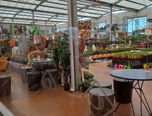Mitre 10 MEGA Petone