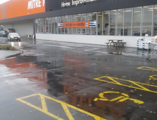 Mitre 10 MEGA Botany