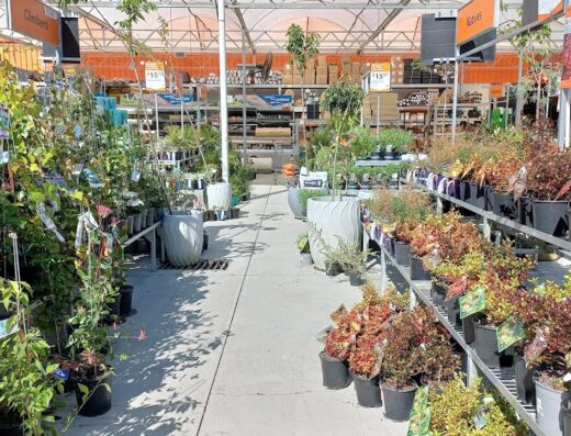 Mitre 10 MEGA Cambridge