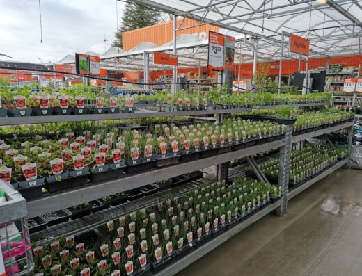 Mitre 10 MEGA Cambridge