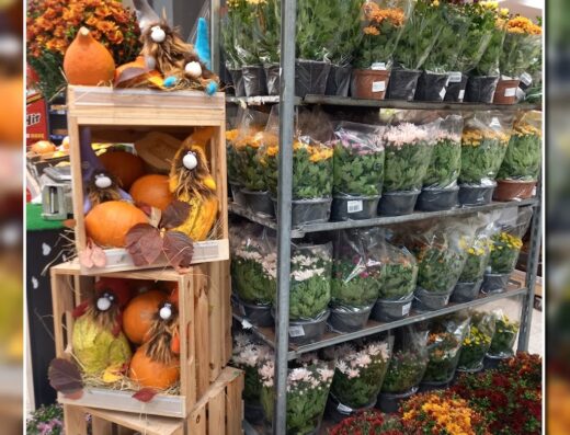 Carrefour Market