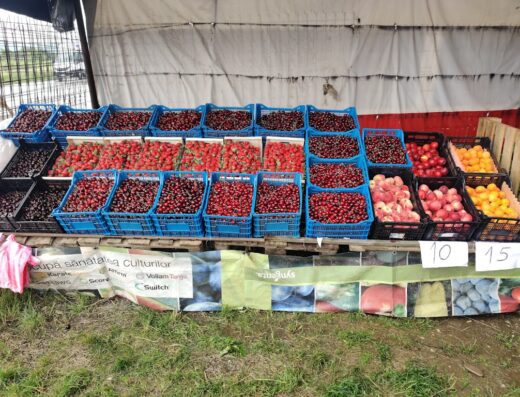 La Mustață (Producător Fructe și Legume)