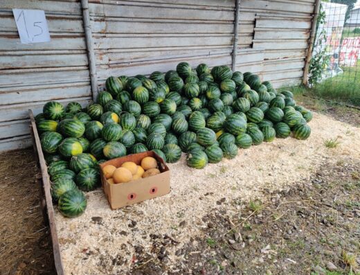 La Mustață (Producător Fructe și Legume)