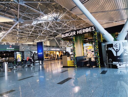 Vnukovo International Airport