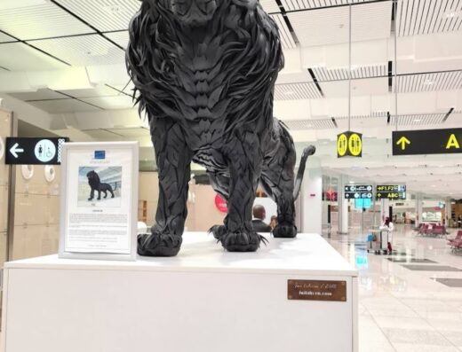 Casablanca Mohammed V International Airport