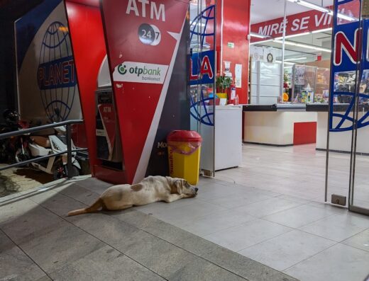 Planet Market 2 Stadiumi