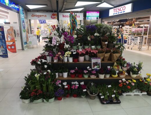 Tesco Supermarket
