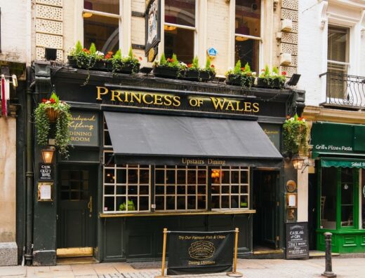 The Princess Of Wales