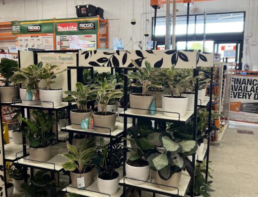 The Home Depot