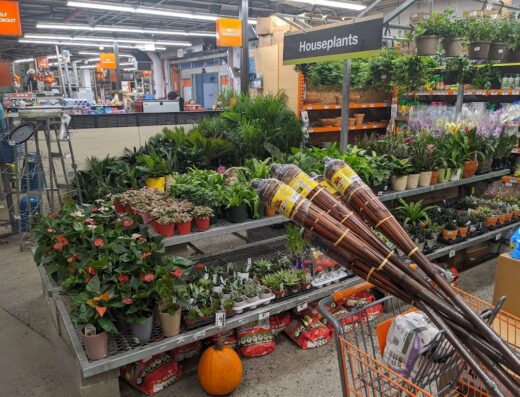The Home Depot