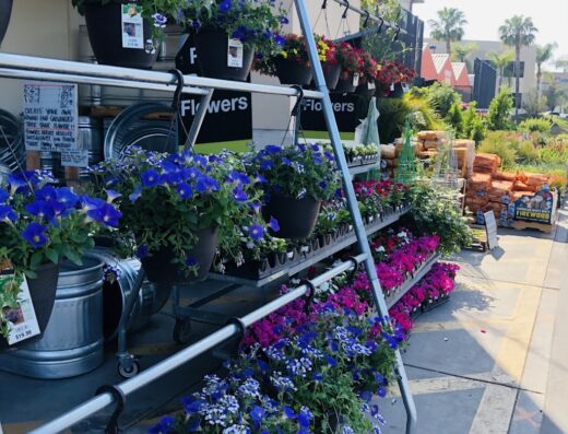 The Home Depot