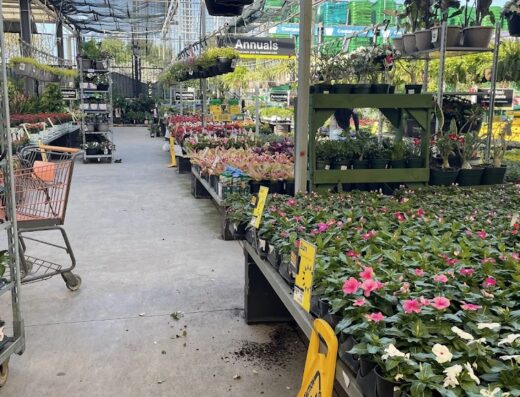 The Home Depot