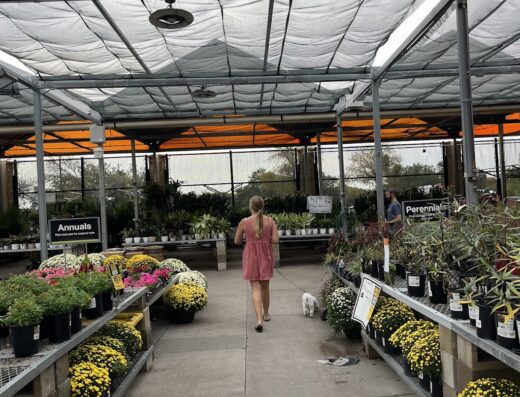 The Home Depot