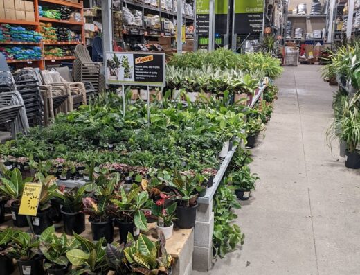The Home Depot