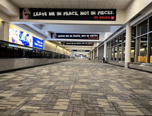 Minneapolis–Saint Paul International Airport