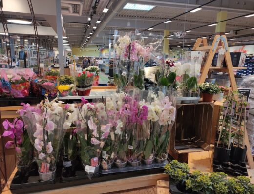 EDEKA Center Wernigerode