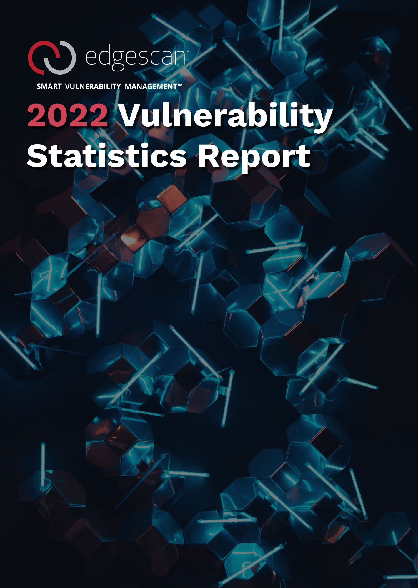 2022 Vulnerability Statistics Report